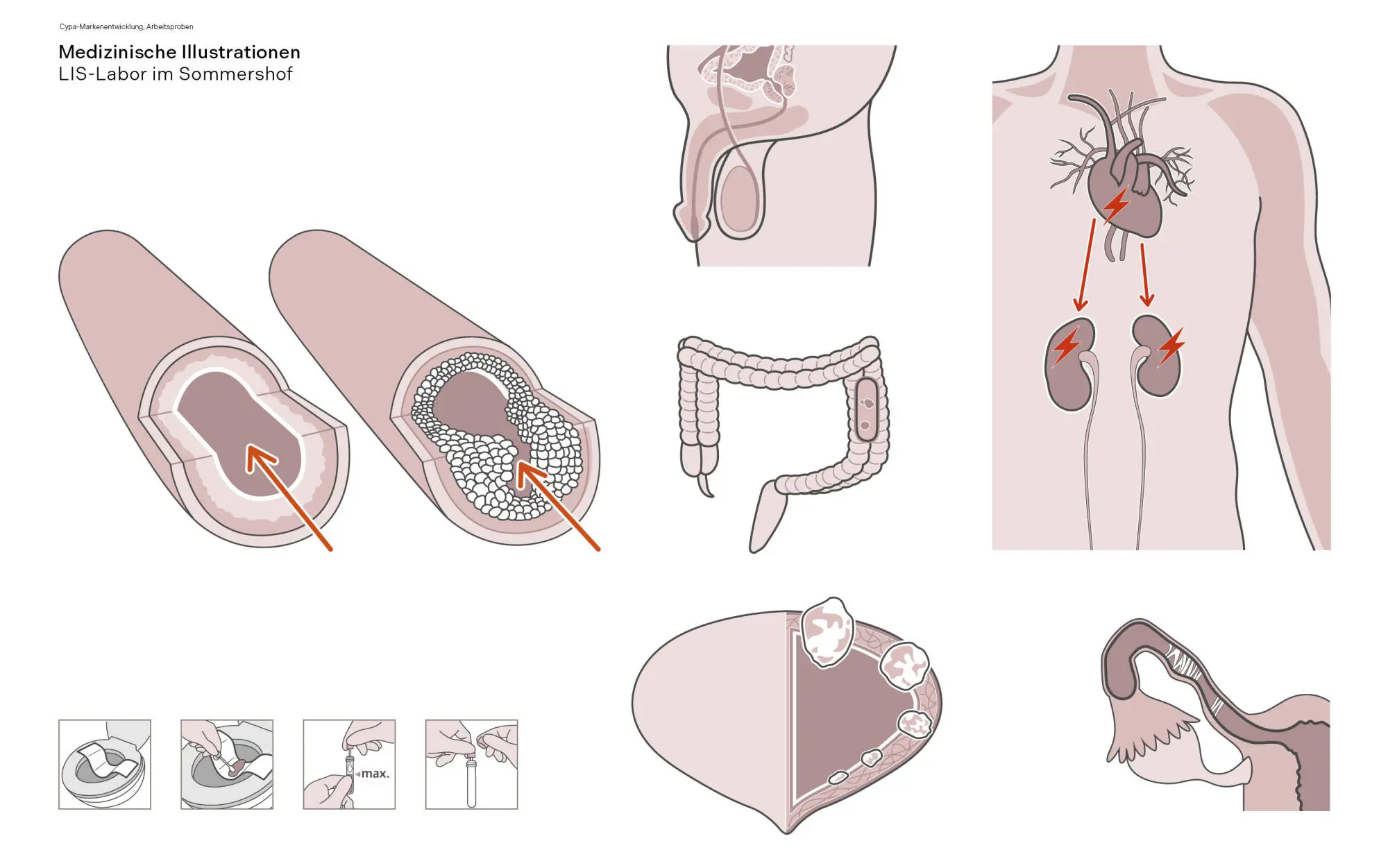 Cypa Markenentwicklung: medizinische Illustrationen